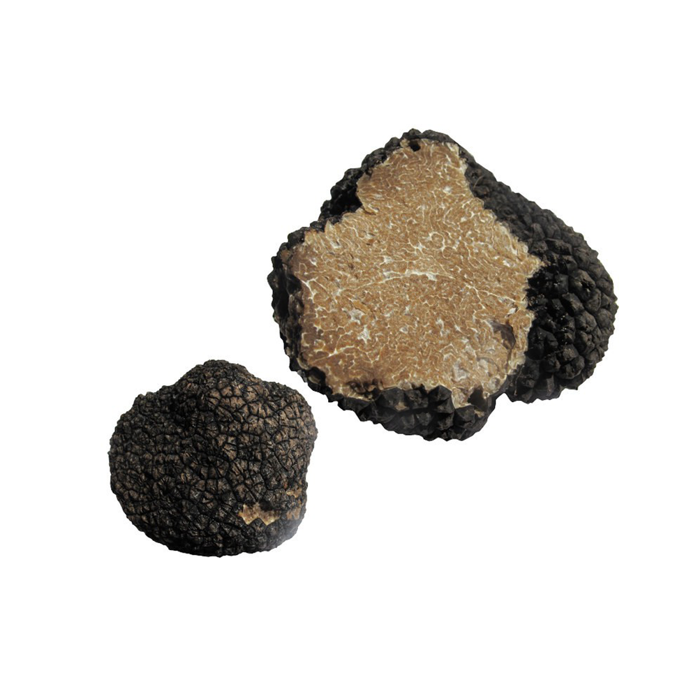 Tartufo Nero estivo